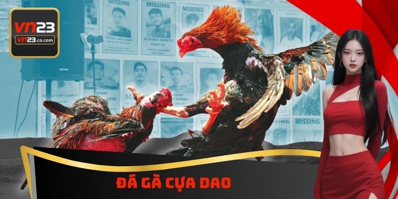 Đá Gà Cựa Dao VN23 - Chiến Trường Đẫm Máu Dành Cho Hội Viên 10 Đá Gà Cựa Dao VN23 - Chiến Trường Đẫm Máu Dành Cho Hội Viên